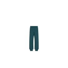 4SBM23PANFY15E - Kid Boy's Jersey Pants - 15E Vert/Bleu