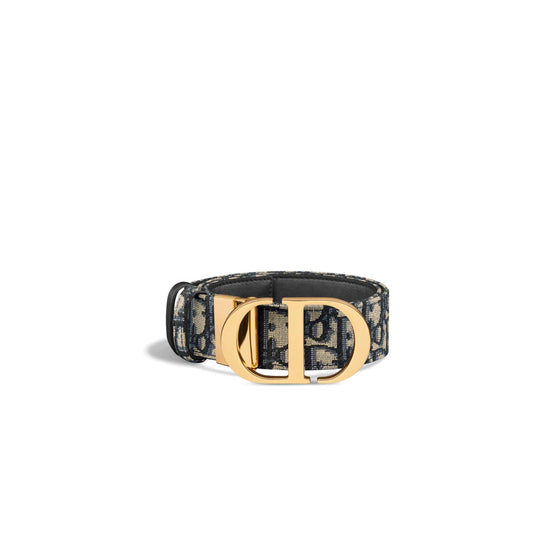 B0179UWEOM928 - Women's 30 Montaigne Basic Calfskin Belt - 928 Bleu/Multicolor